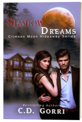 shadow-dreams-2